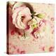 A Cup of Romance Square-Sarah Gardner-Premier Image Canvas