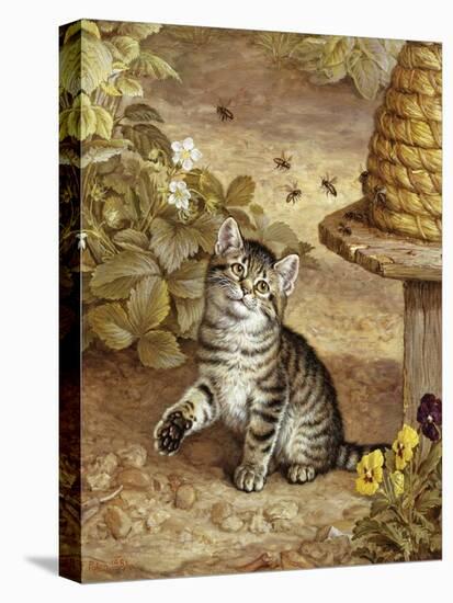 A Curious Kitten-Frank Paton-Premier Image Canvas