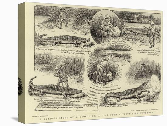 A Curious Story of a Crocodile, a Leaf from a Traveller's Note-Book-William Ralston-Premier Image Canvas