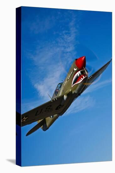 A Curtiss P-40E Warhawk in Flight Near Chino, California-null-Premier Image Canvas