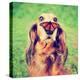 A Cute Dachshund at a Local Public Park with a Butterfly on His or Her Nose Toned with a Retro Vint-Annette Shaff-Stretched Canvas