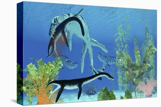 A Dakosaurus Attacks a Small Plesiosaurus-null-Stretched Canvas