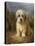 A Dandie Dinmont-Lilian Cheviot-Premier Image Canvas