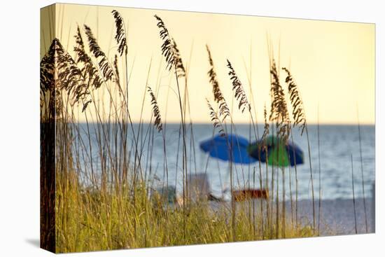 A Day at the Beach Is Seen Through the Sea Oats, West Coast, Florida-Sheila Haddad-Premier Image Canvas