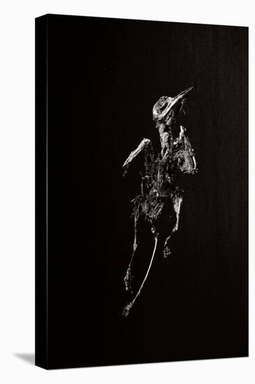 A Dead Bird-Torsten Richter-Premier Image Canvas