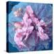 A Delicate Floral Montage from Blooming Orchids and Rose-Alaya Gadeh-Premier Image Canvas