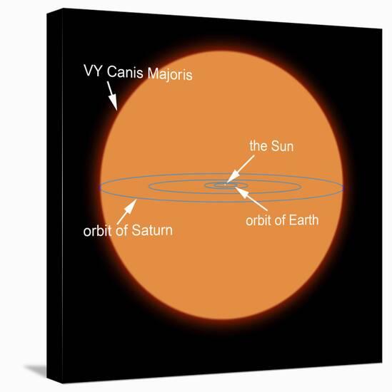 A Diagram Comparing the Sun to VY Canis Majoris-Stocktrek Images-Premier Image Canvas