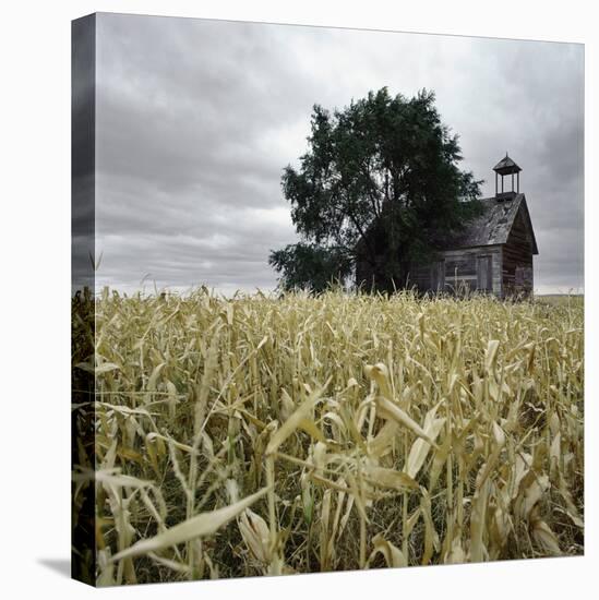 A Dilapidated Building in a Field-null-Premier Image Canvas
