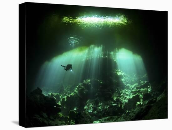 A Diver in the Garden of Eden Cenote System in Mexico-null-Premier Image Canvas