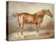 A Docked Chestnut Horse-Theodore Gericault-Premier Image Canvas