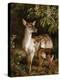 A Doe with Her Fawn-Samuel John Carter-Premier Image Canvas