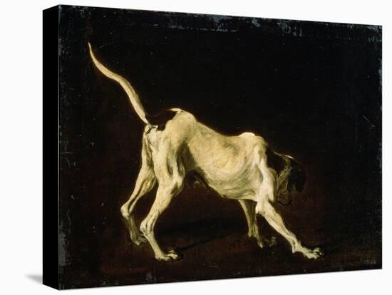 A Dog, 17th Century-Frans Snyders-Premier Image Canvas