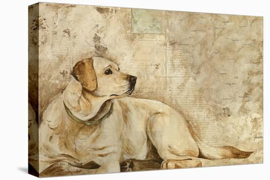 A Dog's Story 3-Elizabeth Hope-Premier Image Canvas