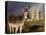 A Donkey Grazes in Front 17th Century Monea Castle, County Fermanagh, Ulster, Northern Ireland-Andrew Mcconnell-Premier Image Canvas