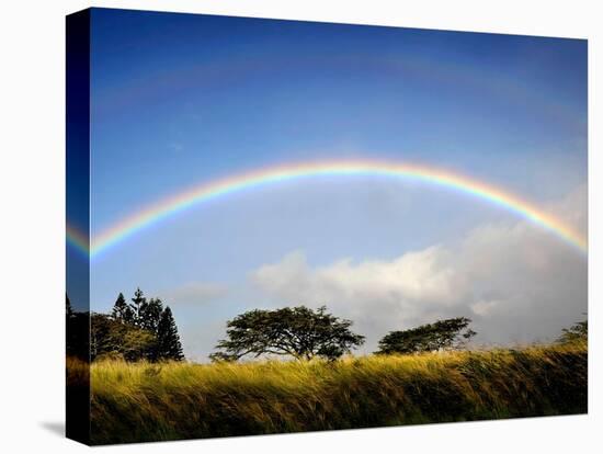 A Double Rainbow Above Countryside-Jody Miller-Premier Image Canvas