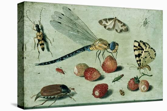 A Dragon-Fly, Two Moths, a Spider and Some Beetles, with Wild Strawberries, 17th Century-Jan Van, The Elder Kessel-Premier Image Canvas