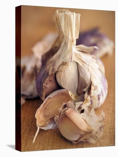 A Dried Garlic Bulb-Steven Morris-Premier Image Canvas