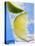 A Drink with Soda Water, Lemon and Ice-null-Premier Image Canvas