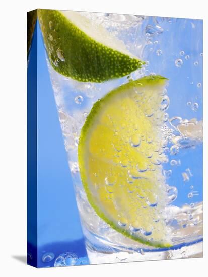 A Drink with Soda Water, Lemon and Ice-null-Premier Image Canvas