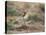 A European Stonechat Rests on a Twig in Richmond Park-Alex Saberi-Premier Image Canvas