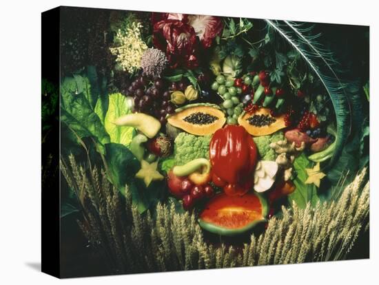 A Face Made from Vegetables and Fruit-jovandenberg-Premier Image Canvas