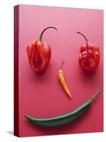 A Face Made of Chilli Peppers-Malgorzata Stepien-Premier Image Canvas
