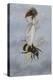 A Fairy Carrying a Feather Standing on a Bee-Amelia Jane Murray-Premier Image Canvas