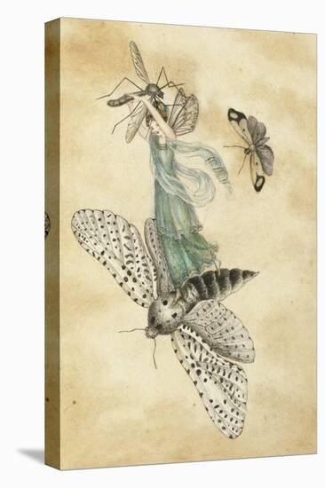 A Fairy Standing on a Moth While Being Chased by a Butterfly-Amelia Jane Murray-Premier Image Canvas