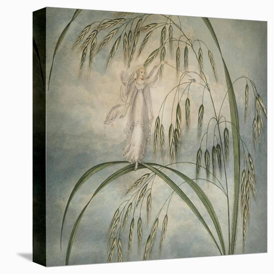 A Fairy Waving Her Wand Standing Among Blades of Grass-Amelia Jane Murray-Premier Image Canvas