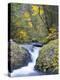A Fall Color Scene on Eagle Creek in the Columbia Gorge, Oregon, USA-Gary Luhm-Premier Image Canvas