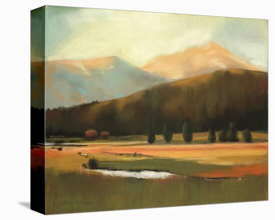 A Fall Day in the Mountains-Judith D'Agostino-Stretched Canvas