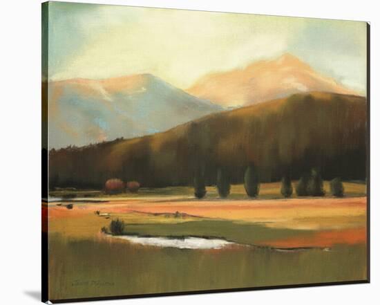 A Fall Day in the Mountains-Judith D'Agostino-Stretched Canvas