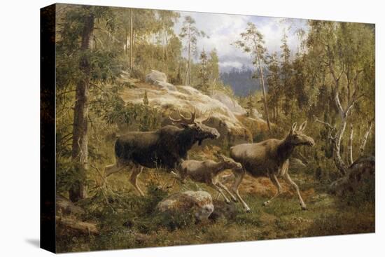 A Family of Moose-Carl Henrik Bogh-Premier Image Canvas