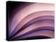 A Fan of Purple-Ursula Abresch-Premier Image Canvas