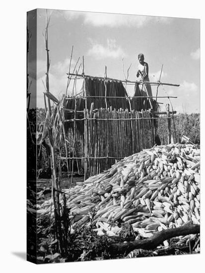 A Farmer Building a Hut in Which to Store Corn-null-Premier Image Canvas