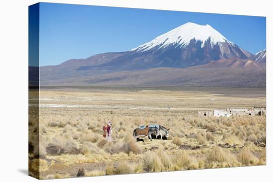 A Farmer Crosses a Landscape Below a Volcano in Sajama National Park-Alex Saberi-Premier Image Canvas