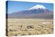 A Farmer Crosses a Landscape Below a Volcano in Sajama National Park-Alex Saberi-Premier Image Canvas