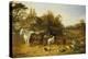 A Farmyard with Horses and Ponies, Berkshire, Saddlebacks, Alderney Shorthorn Cattle, Bantams,…-John Frederick Herring I-Premier Image Canvas