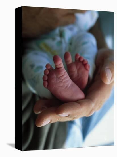 A Father Holding His Baby's Feet-Mitch Diamond-Premier Image Canvas