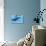 A Female Humpback Whale Swims with Her Calf Through Ocean Waters-null-Stretched Canvas displayed on a wall