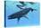 A Female Humpback Whale Swims with Her Calf Through Ocean Waters-null-Stretched Canvas