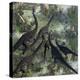 A Few Apatosaurus Join the Moving Herd-Stocktrek Images-Stretched Canvas