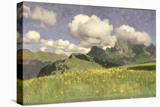 A Field of Marigolds, Lower Alps, 1902-Adrian Scott Stokes-Premier Image Canvas