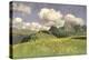A Field of Marigolds, Lower Alps, 1902-Adrian Scott Stokes-Premier Image Canvas