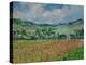 A Field of Poppies-Claude Monet-Premier Image Canvas