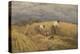 A Finished Study for 'Reaping', 1858-John Linnell-Premier Image Canvas