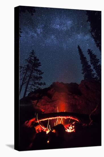 A Fire Burns under a Canopy of Stars and Evergreens in the Seven Devil Mountains in Central Idaho-Ben Herndon-Premier Image Canvas