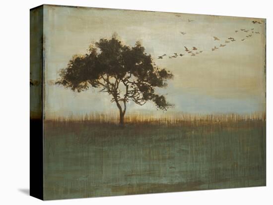 A Fleeting Glimpse-Liz Jardine-Stretched Canvas