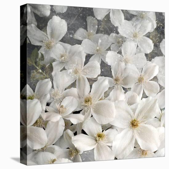 A Floral Montage from Clematis and Texture-Alaya Gadeh-Premier Image Canvas