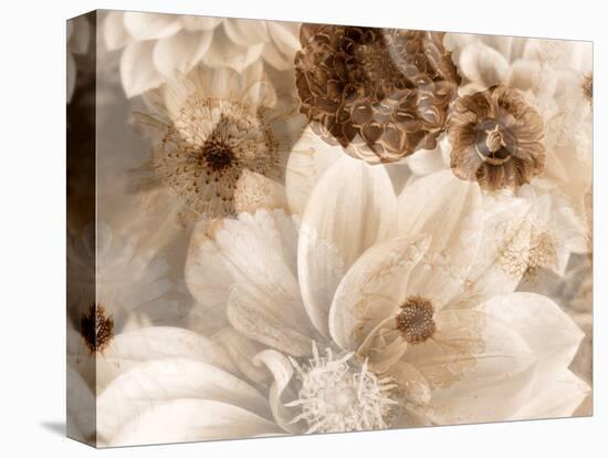 A Floral Montage from Dahlias in Monotone Colors-Alaya Gadeh-Premier Image Canvas